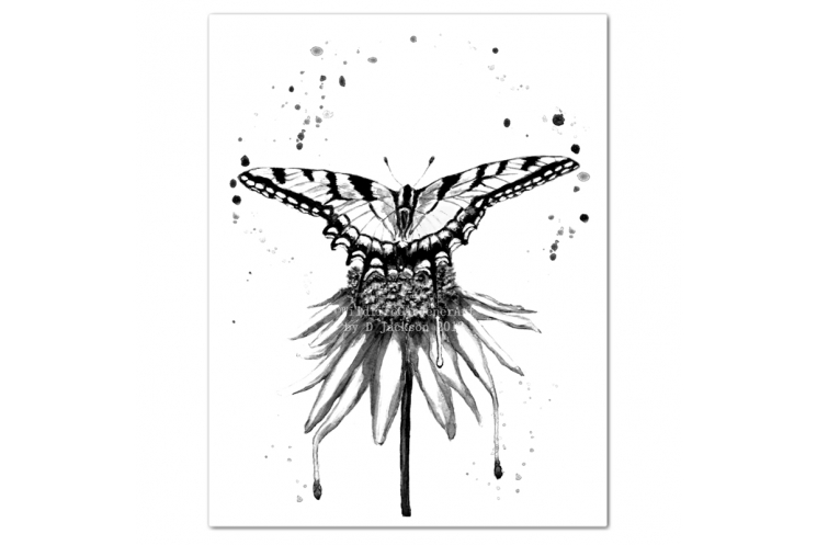 Black and White Butterfly on Flower Monochromatic Watercolor Art Print