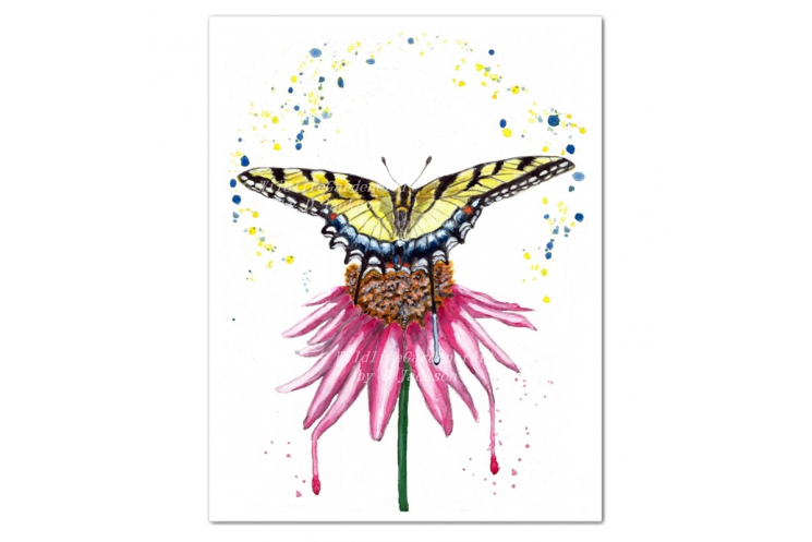 Swallowtail Butterfly with Coneflower Watercolor Art Print