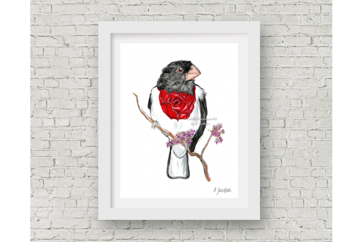 Whimsical Bird Watercolor Art Print, Rose Breasted Grosbeak, 11 x 14, Unframed