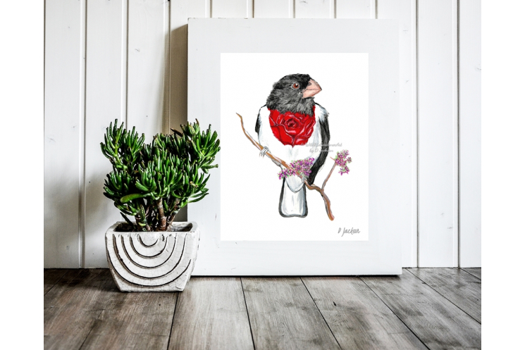 Whimsical Bird Watercolor Art Print, Rose Breasted Grosbeak, 11 x 14, Unframed