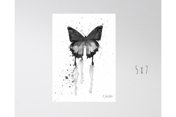 Black and White Butterfly Watercolor Art Print
