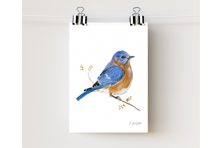 Bluebird Watercolor Art Print