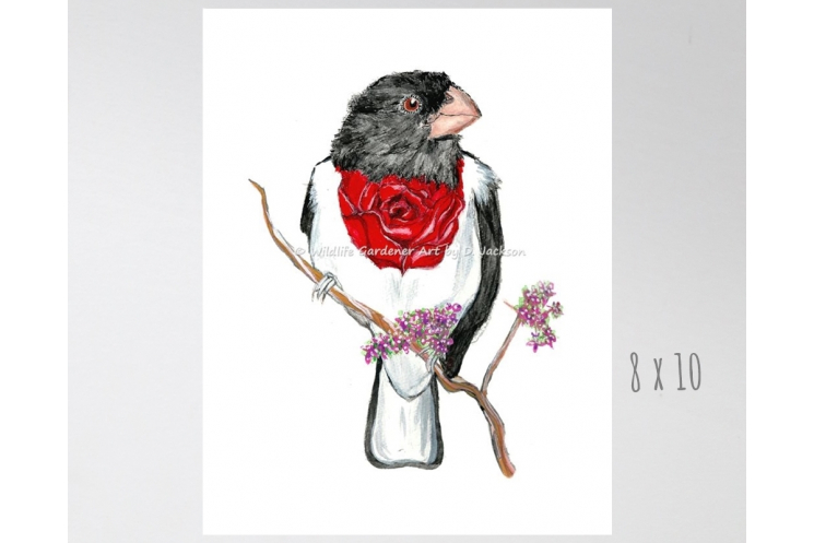 Whimsical Bird Art Watercolor Art Print, Rose Breasted Grosbeak