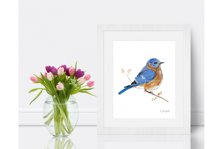 Bluebird Watercolor Art Print