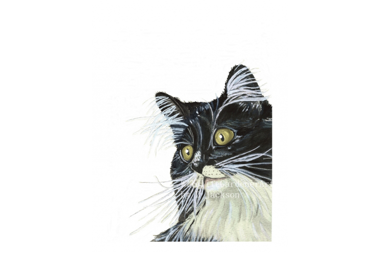 Tuxedo Cat Watercolor Art Print, Yellow Gold Eyes, modern cat wall art