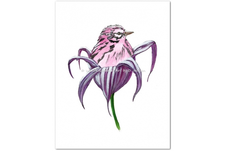 Pink Bird in Purple Lily Watercolor Art Print