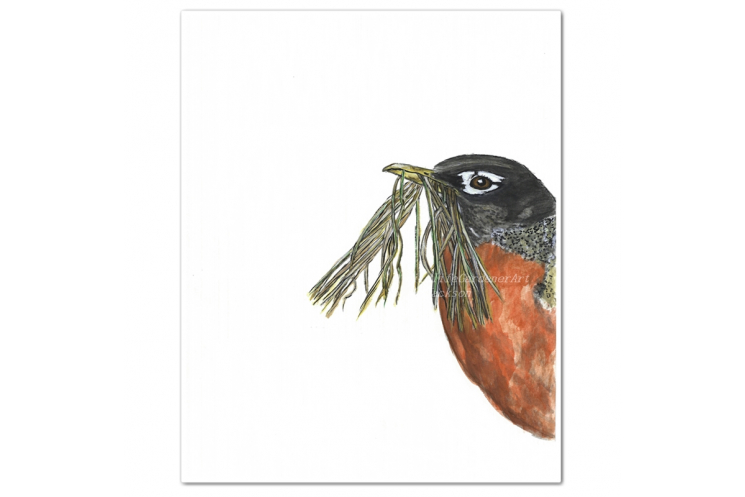 Spring Robin Watercolor Bird Art Print
