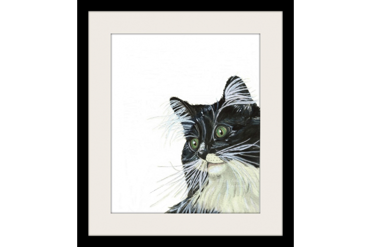 Watercolor tuxedo cat art print, black and white cat art, pet lovers gift