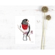 Whimsical Bird Art Watercolor Art Print, Rose Breasted Grosbeak
