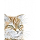 Watercolor Orange Cat Art Print, Pet Portrait, Modern rustic, pet lovers gift