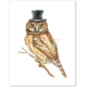 Owl in Top Hat Watercolor Art Print