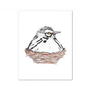 White Warbler Bird in Nest Watercolor Art Print
