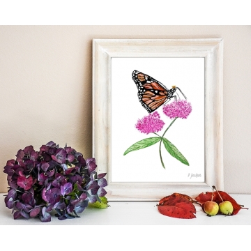 Monarch Butterfly on Milkweed Watercolor Art Print