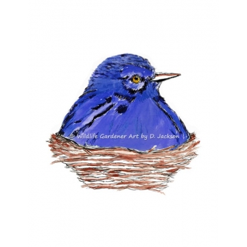 Blue bird in Nest watercolor art print