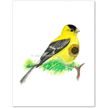 Yellow Goldfinch with Sunflower Watercolor Art Print
