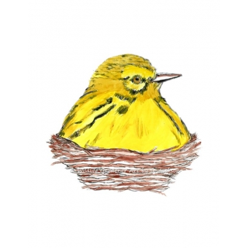 Yellow bird in Nest watercolor art print