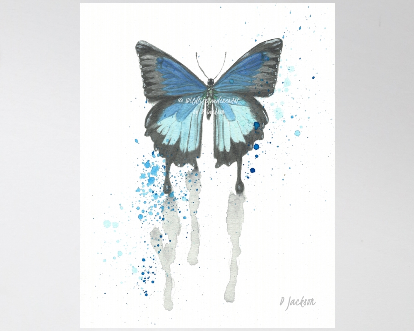 Blue Butterfly Watercolor Art Print, 11 x 14 Unframed