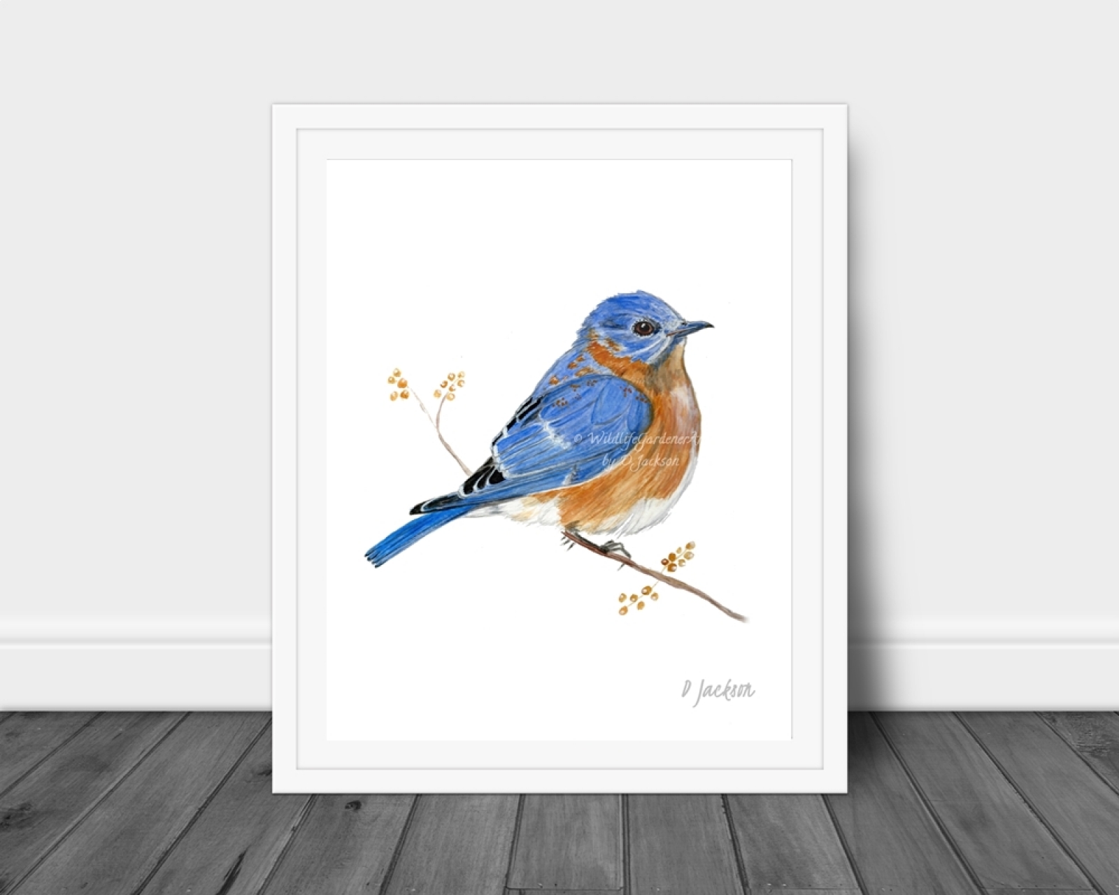 Bluebird Watercolor Art Print, 16 x 20, unframed | Wildlife Gardener Art