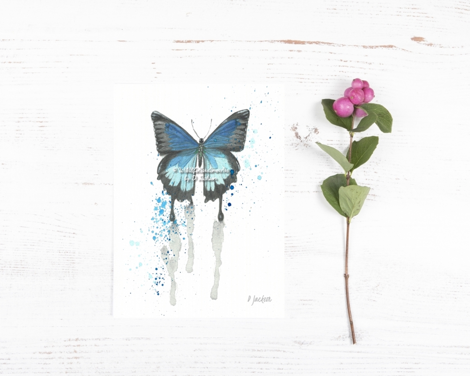 Blue butterfly contemporary watercolor art print | Wildlife Gardener Art