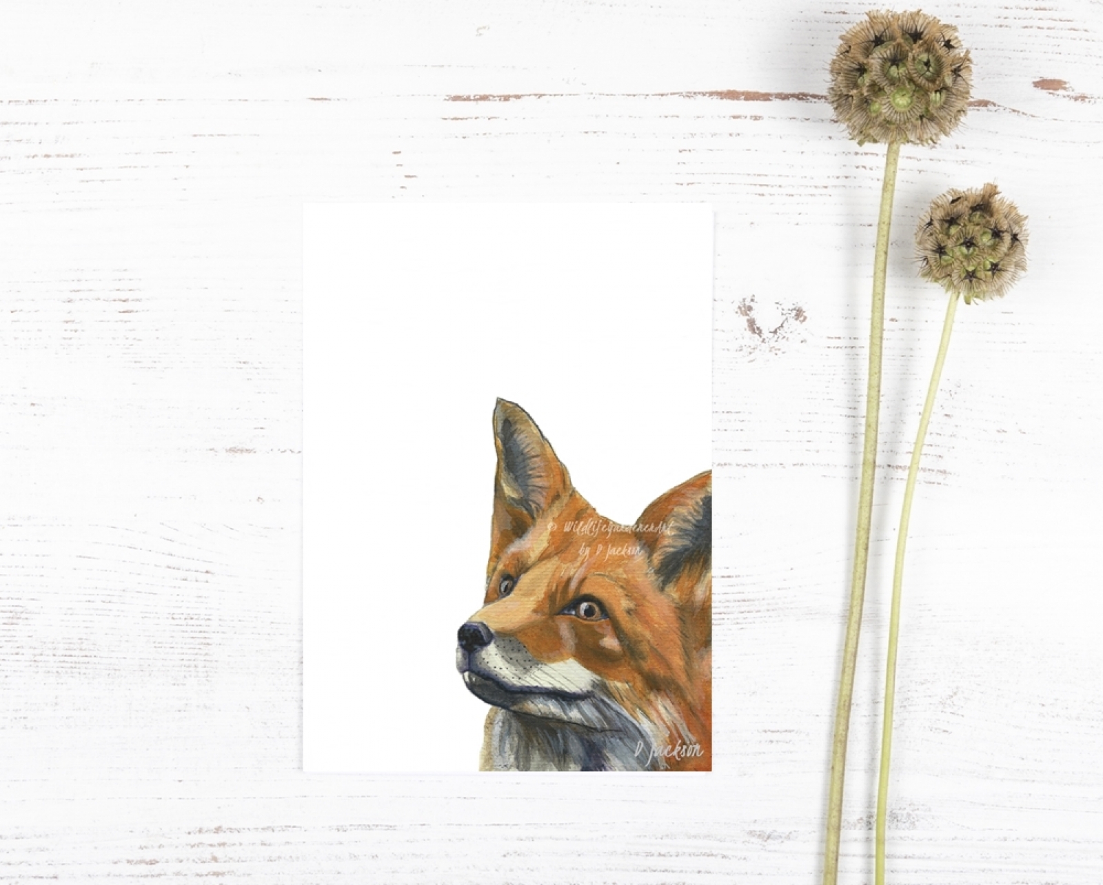 Red Fox Watercolor Art Print Red Fox Watercolor Art Print