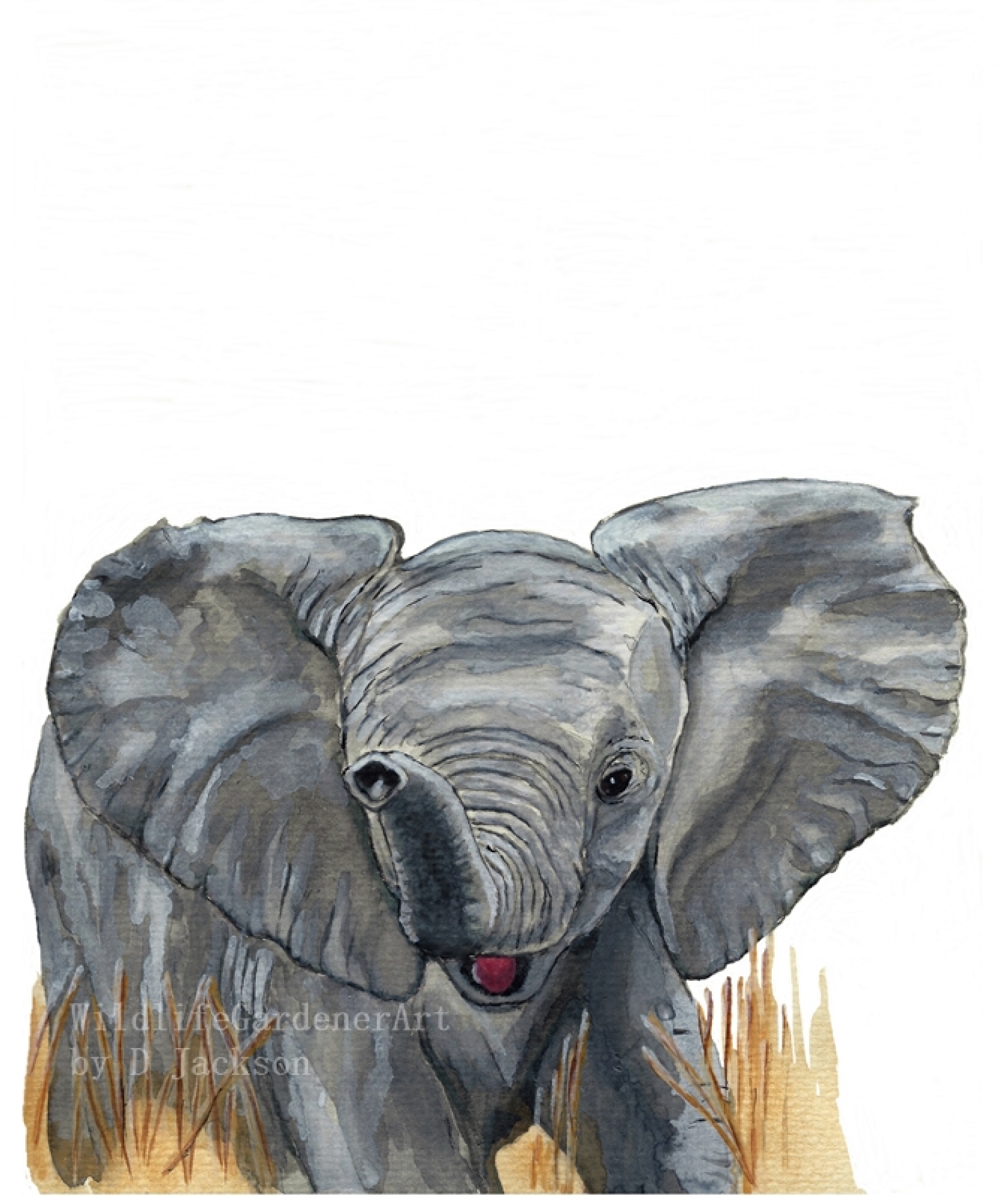 Watercolor Baby Elephant Art Print Safari Animal Art Wildlife