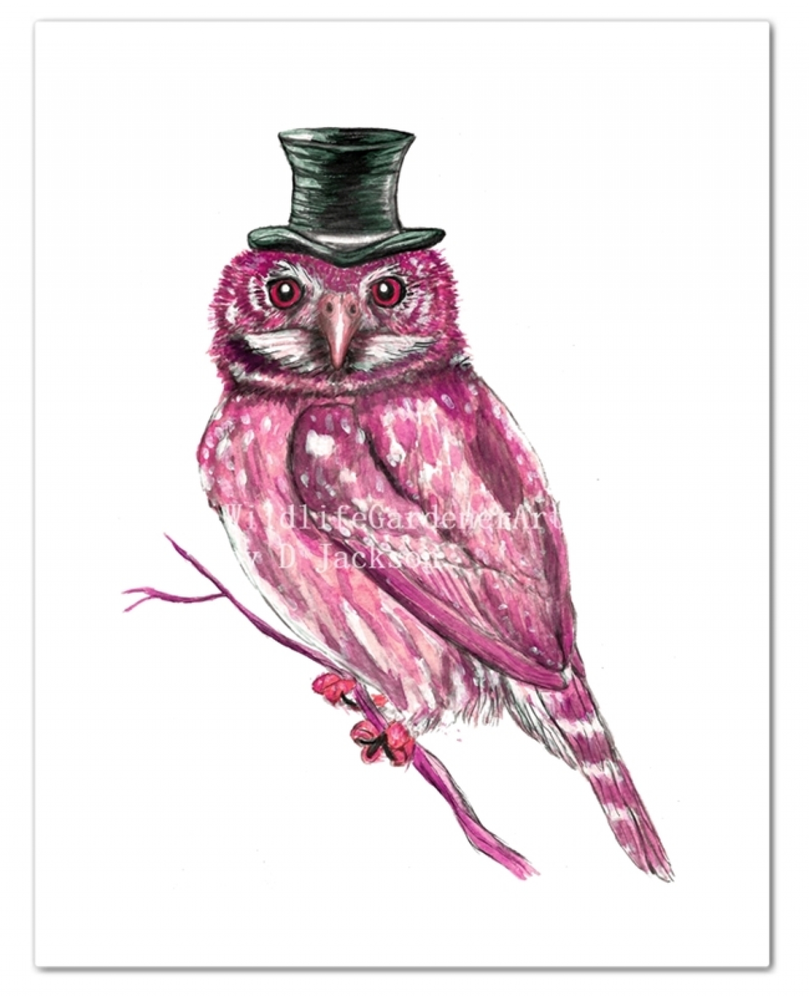 Pink Owl In Top Hat Watercolor Art Print Wildlife Gardener Art