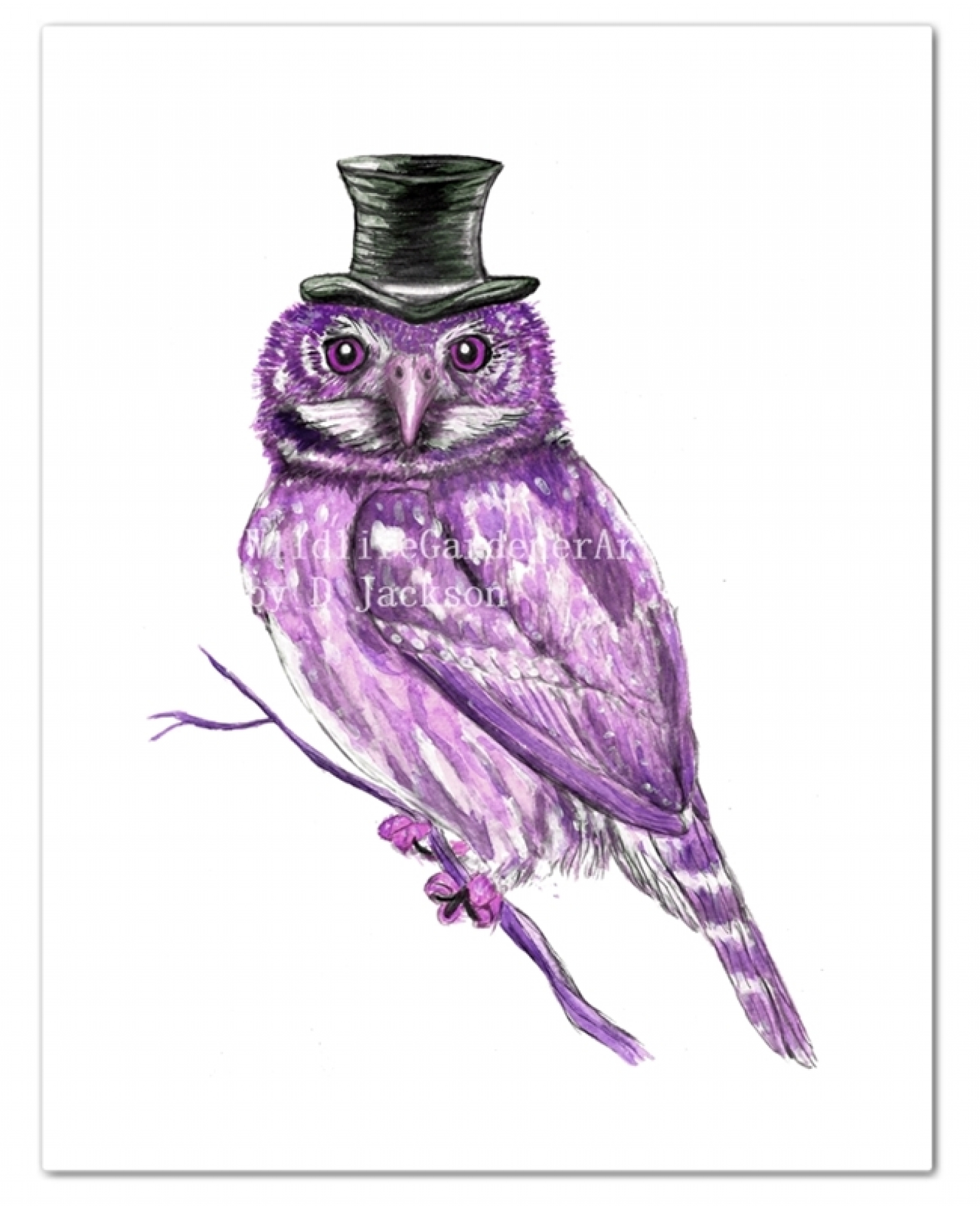 Purple Owl In Top Hat Watercolor Art Print Wildlife Gardener Purple Owl In Top Hat Watercolor Art