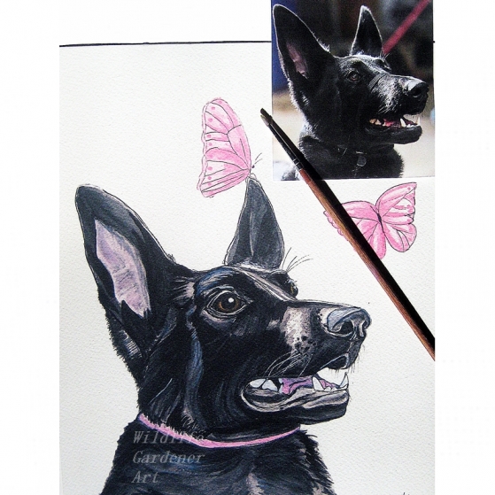 stella_custom_watercolor_portrait.jpg stella_custom_watercolor_portrait.jpg
