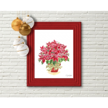 Red Christmas Poinsettia Plant Watercolor Art Print