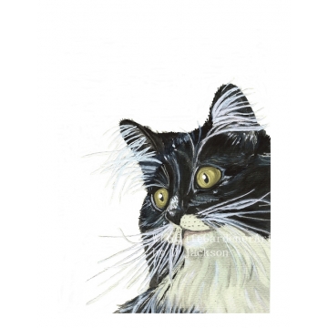 Tuxedo Cat with Yellow / Gold Eyes Watercolor Art Print