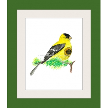 Yellow Goldfinch with Sunflower Watercolor Art Print