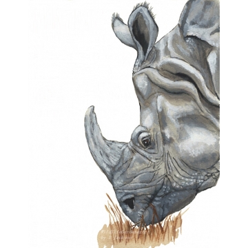 Rhino Watercolor Art Print