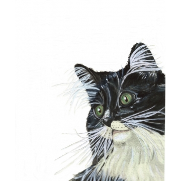 Tuxedo Cat with Green Eyes Watercolor Art Print